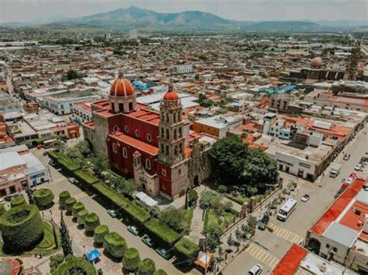 Ang&eacute;lica Celaya