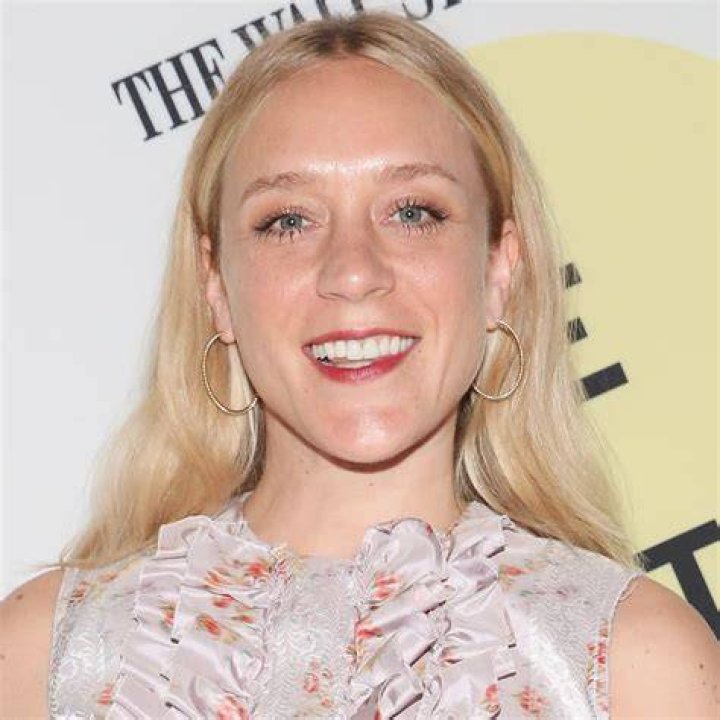 Chlo&euml; Sevigny Net Worth