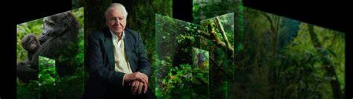 David Attenborough