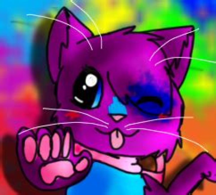 JupiMeow