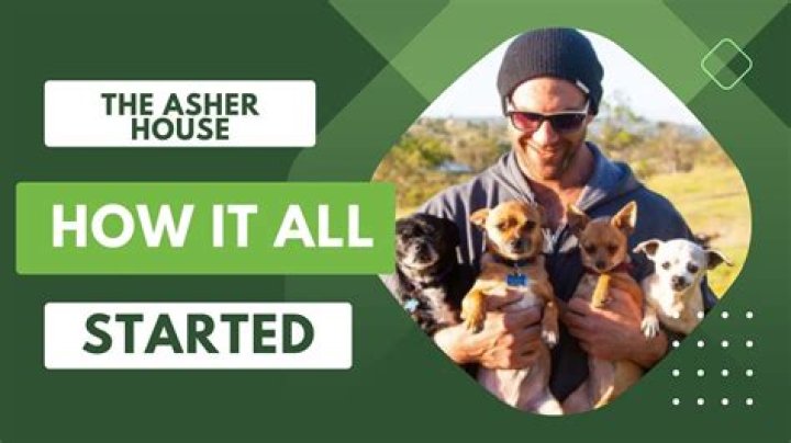 The Asher House video statistics