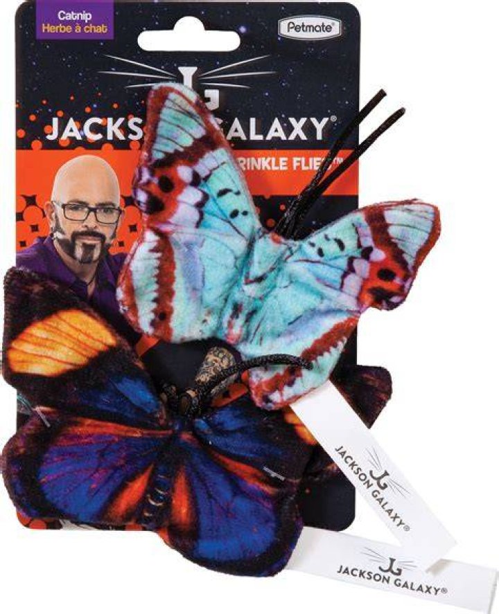 What could Jackson Galaxy buy with $2.08 million?